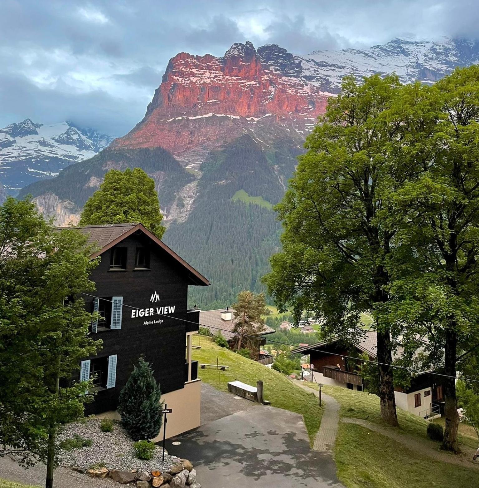 Eiger View Alpine Lodge جريندلوالد المظهر الخارجي الصورة